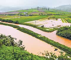 ಮುಂಗಾರು ಮುನ್ಸೂಚನೆ: ಸಾಮಾನ್ಯಕ್ಕಿಂತ ಹೆಚ್ಚಿನ ಮಳೆ, ಬಿಸಿಲು ಕಡಿಮೆ