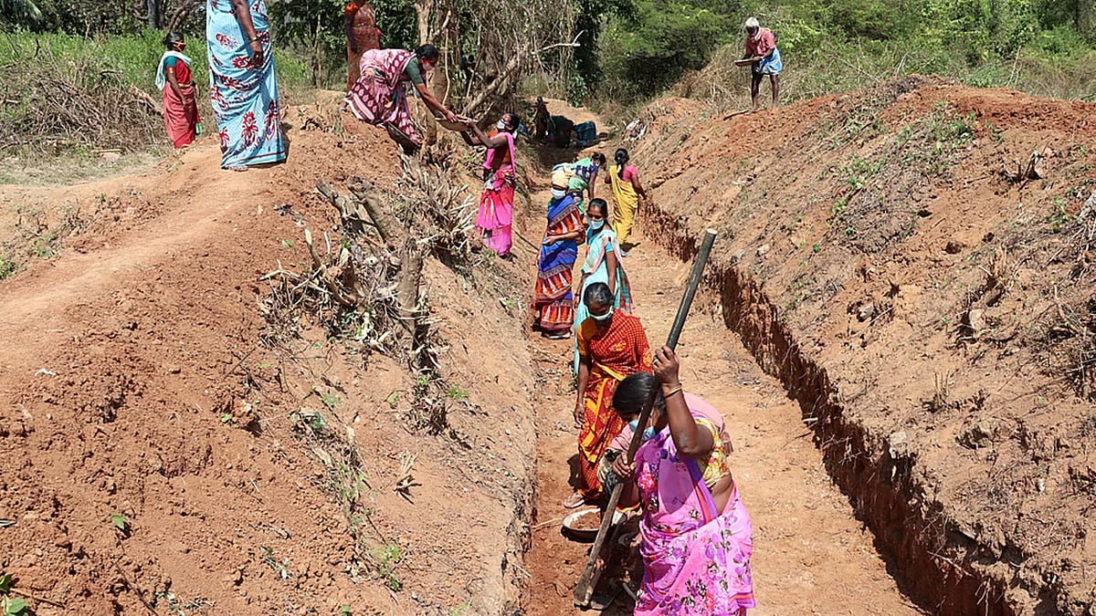 ಮೈಸೂರು: ಏಳು ತಿಂಗಳಾದರೂ ಬಿಡುಗಡೆಯಾಗದ ವೇತನ; MGNREGA ಗುತ್ತಿಗೆ ಸಿಬ್ಬಂದಿಯ ಅರಣ್ಯ ರೋಧನ!