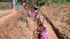 ಮೈಸೂರು: ಏಳು ತಿಂಗಳಾದರೂ ಬಿಡುಗಡೆಯಾಗದ ವೇತನ; MGNREGA ಗುತ್ತಿಗೆ ಸಿಬ್ಬಂದಿಯ ಅರಣ್ಯ ರೋಧನ!