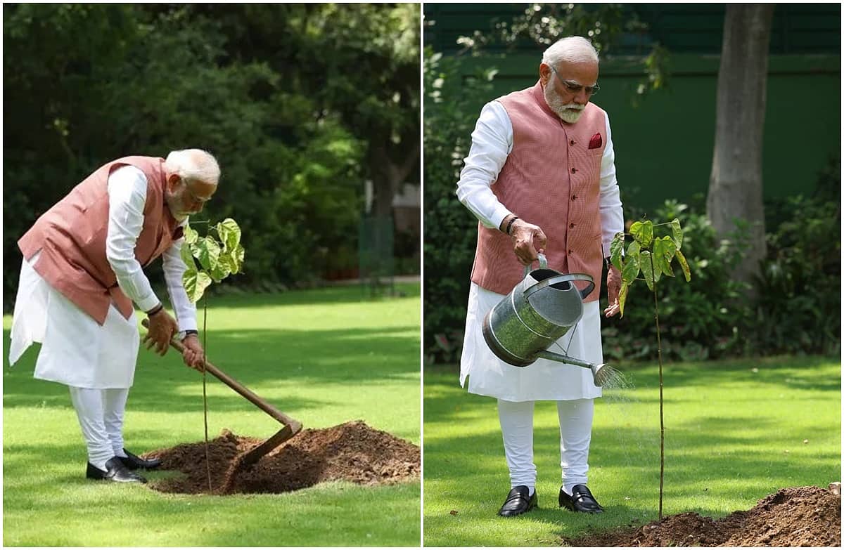ಜೂನ್ 5 ವಿಶ್ವ ಪರಿಸರ ದಿನ: ಪ್ರಧಾನಿ ಮೋದಿ ನೆಟ್ಟ ಗಿಡಕ್ಕೂ 1971ರ ಯುದ್ಧಕ್ಕೂ ಸಂಬಂಧವಿದೆ!