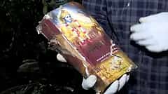 Air India Plane Crash: ವಿಮಾನ ದುರಂತದ ಸ್ಥಳದಲ್ಲಿ ಭಗವದ್ಗೀತೆ ಸುರಕ್ಷಿತ!