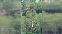 Manali Zipline accident: ಜಿಪ್ ಲೈನ್ ಹಗ್ಗ ತುಂಡಾಗಿ ಕಂದಕಕ್ಕೆ ಬಿದ್ದ ಯುವತಿ, Video Viral