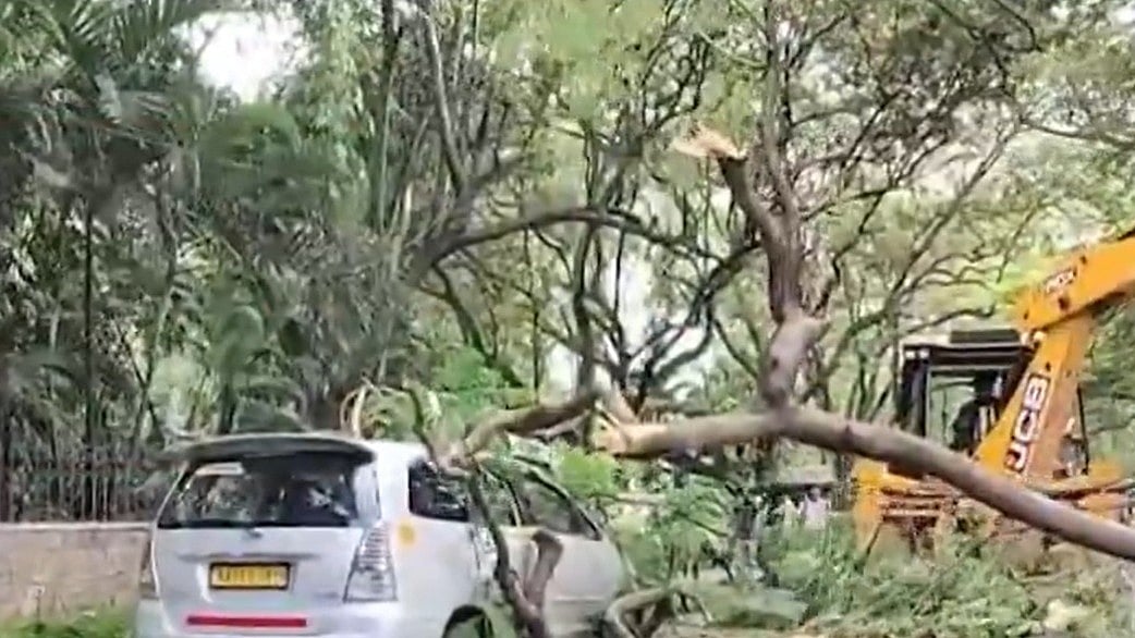 ಸಿಎಂ ಸಿದ್ದರಾಮಯ್ಯ ಅಧಿಕೃತ ನಿವಾಸದ ಮುಂದೆ ಬೃಹತ್ ಮರ ಬಿದ್ದು ವಾಹನಗಳಿಗೆ ಹಾನಿ!