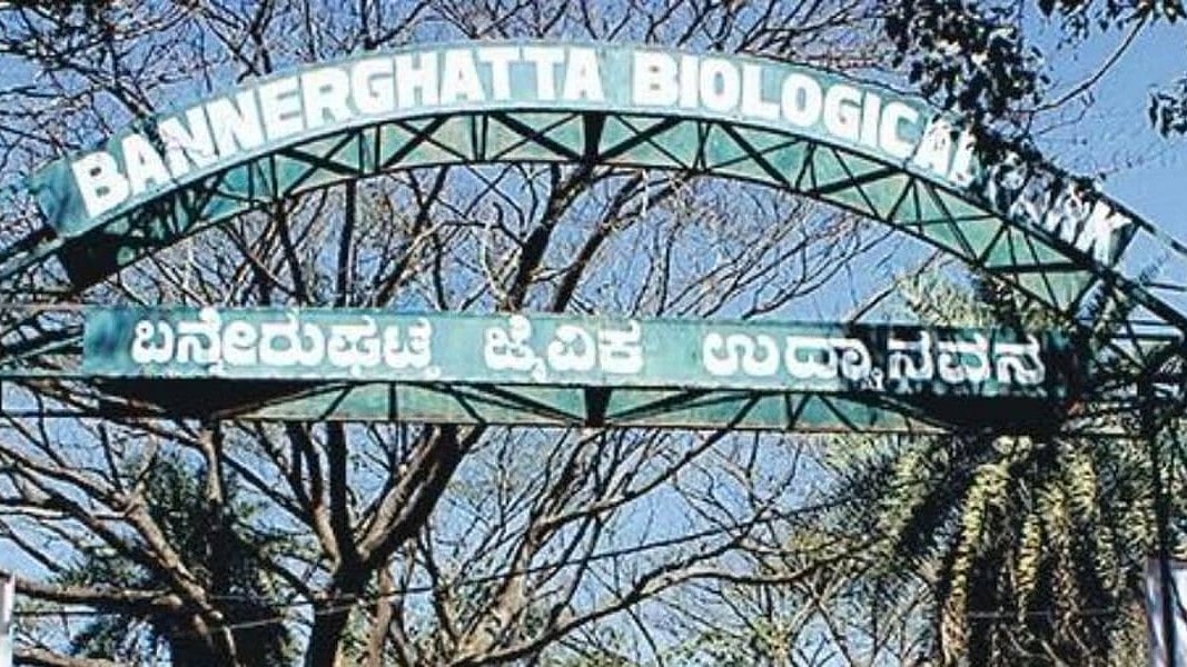 ಬನ್ನೇರುಘಟ್ಟ ಸಫಾರಿ ಪ್ರಿಯರಿಗೆ ಗುಡ್​ ನ್ಯೂಸ್: ಇವಿ ಸಫಾರಿ ಬಸ್'ಗೆ ಚಾಲನೆ; ಚೀತಾ, ಜಾಗ್ವಾರ್‌ ಸೇರಿ 10 ವನ್ಯಜೀವಿಗಳ ಸೇರ್ಪಡೆಗೆ ಸರ್ಕಾರ ಮುಂದು!