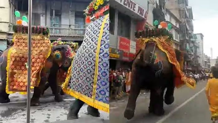 ರಥಯಾತ್ರೆ ವೇಳೆ  ಅಡ್ಡಾದಿಡ್ಡಿ ಓಡಿದ ಆನೆಗಳು: ಹಲವರಿಗೆ ಗಾಯ; Video ವೈರಲ್