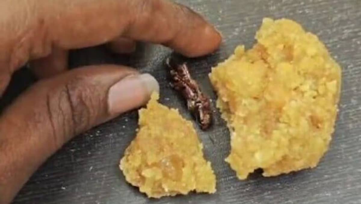 ಆಂಧ್ರ ಪ್ರದೇಶ: ಶ್ರೀಶೈಲಂ ದೇವಸ್ಥಾನದ ಪ್ರಸಾದದಲ್ಲಿ ಜಿರಳೆ ಪತ್ತೆ; ಆರೋಪ ನಿರಾಕರಿಸಿದ ದೇಗುಲದ ಆಡಳಿತ ಮಂಡಳಿ