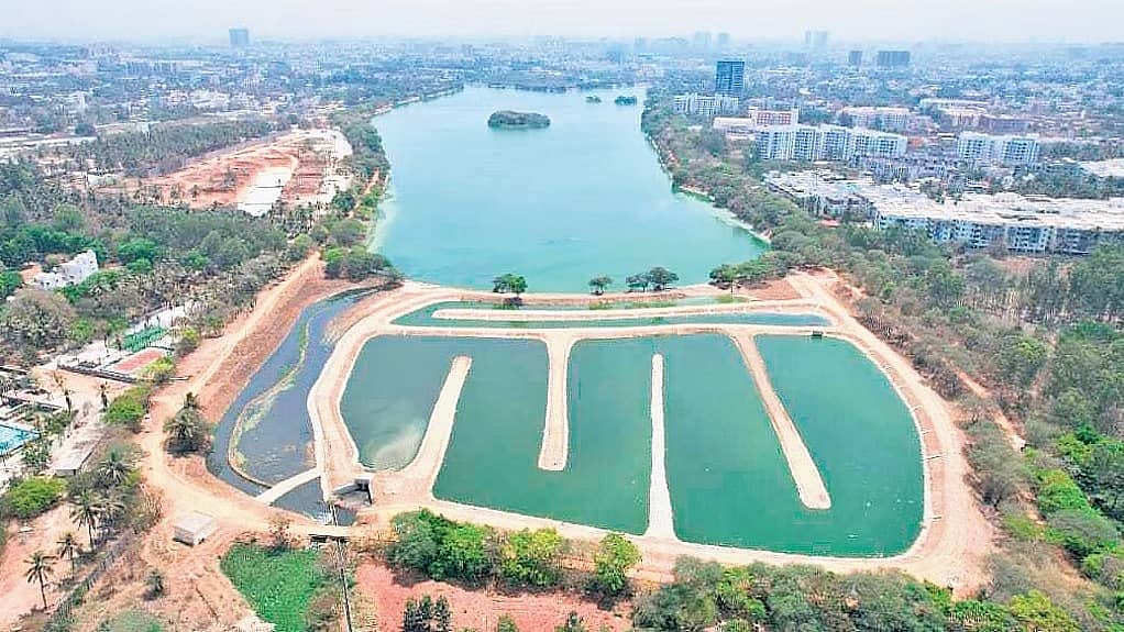 ಜಕ್ಕೂರು ಕೆರೆಗೆ ಹರಿಯುವ ಕೊಳಚೆ ನೀರು ಸಂಸ್ಕರಣೆಗೆ BBMP ಮುಂದು: 10 ಎಕರೆ ವಿಸ್ತೀರ್ಣದ ಜೌಗು ಪ್ರದೇಶ ನಿರ್ಮಾಣ