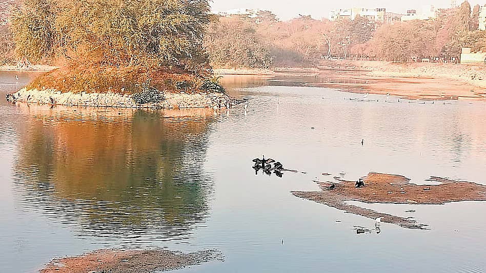 ಬೆಂಗಳೂರು: 472 ಎಕರೆ ಕೆರೆ ಜಮೀನು ಒತ್ತುವರಿ; ಅದರಲ್ಲಿ BBMP ಮರು ಪಡೆದದ್ದು ಎಷ್ಟು?
