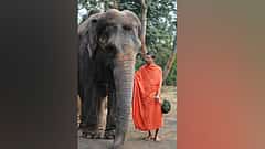ಹುಬ್ಬಳ್ಳಿ: ಅಂಬಾನಿ ಒಡೆತನದ ಅಭಯಾರಣ್ಯಕ್ಕೆ ನಾಂದಣಿ ಮಠದ ಆನೆ ಸ್ಥಳಾಂತರ; ಜೈನ ಸಮುದಾಯ ವಿರೋಧ!