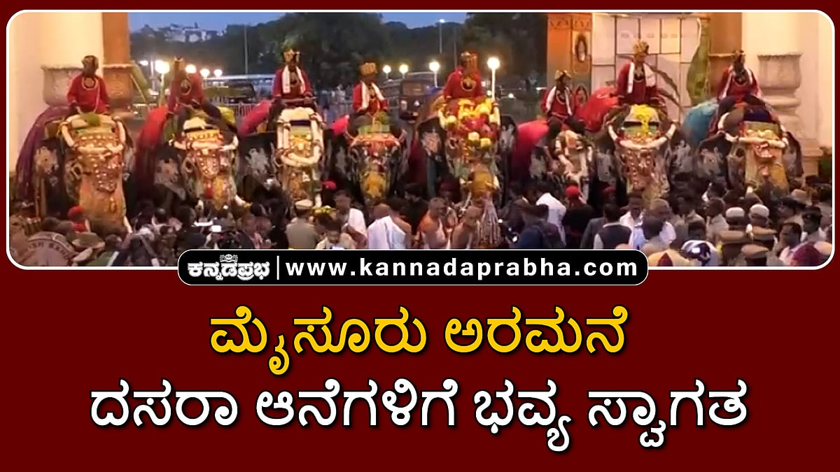 Watch | ಮೈಸೂರು ಅರಮನೆಯಲ್ಲಿ ದಸರಾ ಆನೆಗಳಿಗೆ ಭವ್ಯ ಸ್ವಾಗತ