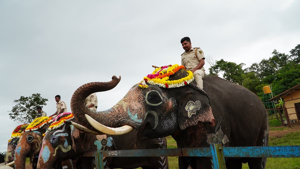 ಕೊಡಗಿನಲ್ಲಿ ವಿಶ್ವ ಆನೆ ದಿನ ಆಚರಣೆ