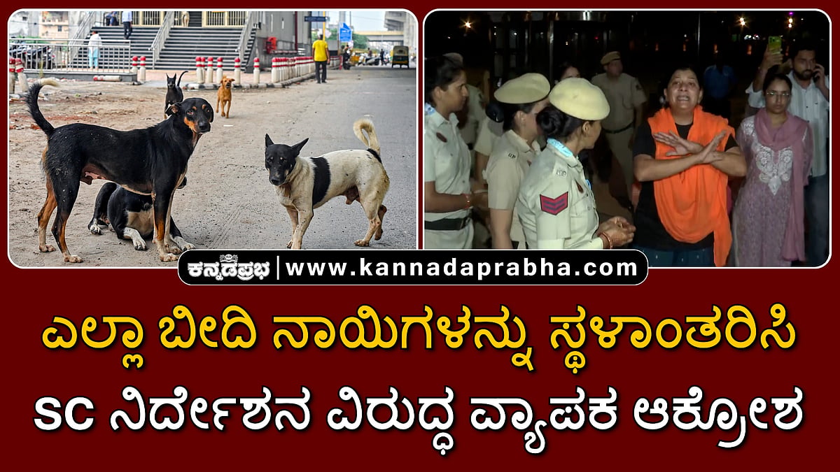 Watch | ಎಲ್ಲಾ ಬೀದಿ ನಾಯಿಗಳನ್ನು ಸ್ಥಳಾಂತರಿಸಿ: ಸುಪ್ರೀಂ ಕೋರ್ಟ್ ನಿರ್ದೇಶನ ವಿರುದ್ಧ ವ್ಯಾಪಕ ಆಕ್ರೋಶ