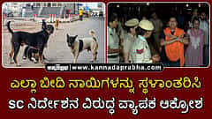 Watch | ಎಲ್ಲಾ ಬೀದಿ ನಾಯಿಗಳನ್ನು ಸ್ಥಳಾಂತರಿಸಿ: ಸುಪ್ರೀಂ ಕೋರ್ಟ್ ನಿರ್ದೇಶನ ವಿರುದ್ಧ ವ್ಯಾಪಕ ಆಕ್ರೋಶ