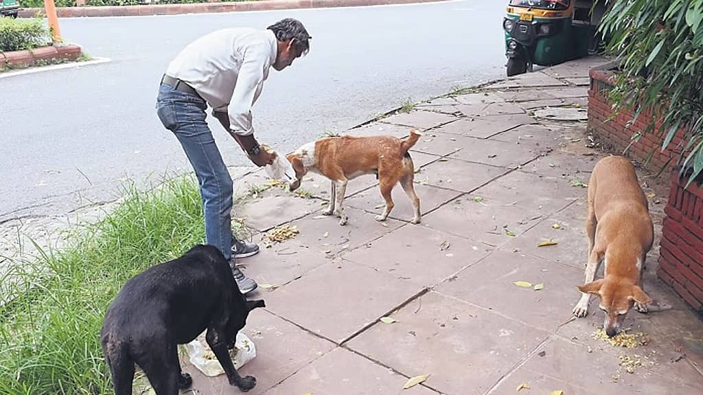 ಸುಪ್ರೀಂ ಕೋರ್ಟ್ ಆದೇಶಕ್ಕೆ ತೀವ್ರ ವಿರೋಧ; 100 ಬೀದಿನಾಯಿಗಳನ್ನು ಸೆರೆಹಿಡಿದ ದೆಹಲಿ ಮಹಾನಗರ ಪಾಲಿಕೆ