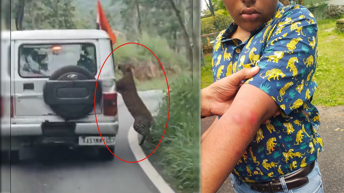 Bannerghatta Video: ಚಿರತೆ ದಾಳಿ; 'ಸುರಕ್ಷತೆ ಆದ್ಯತೆ ನೀಡಿ, ವಾಹನಗಳಿಗೆ ಕಬ್ಬಿಣದ ಜಾಲರಿ ಅಳವಡಿಸಿ'; Eshwar Khandre