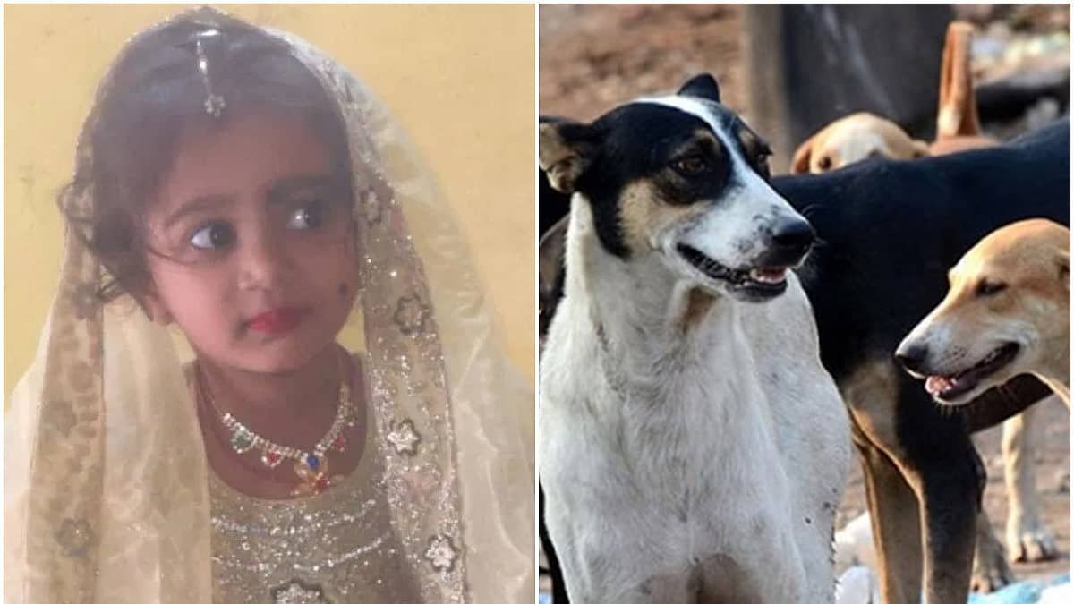 ರಾಜ್ಯದಲ್ಲಿ ಬೀದಿನಾಯಿ ದಾಳಿಗೆ ಮತ್ತೊಂದು ಬಲಿ:
Rabies ನಿಂದ 4 ವರ್ಷದ ಬಾಲಕಿ ಸಾವು..!