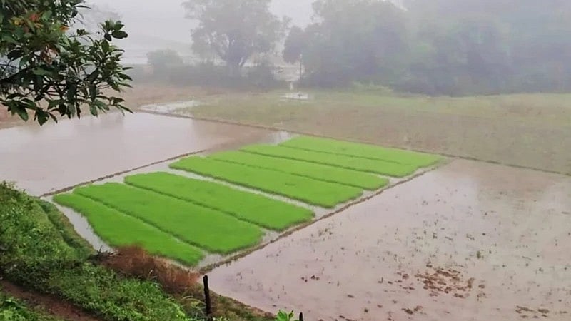 Rain Alert: ರಾಜ್ಯದ ಹಲವು ಭಾಗಗಳಲ್ಲಿ ಭಾರೀ ಮಳೆ; ಆರೆಂಜ್ ಅಲರ್ಟ್ ಘೋಷಣೆ