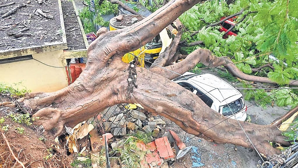 ಭಾರೀ ಮಳೆಗೆ ನಗರದಲ್ಲಿ 16 ಮರಗಳು ಧರೆಗೆ: ಹಲವೆಡೆ ಸಂಚಾರ ಅಸ್ತವ್ಯಸ್ತ