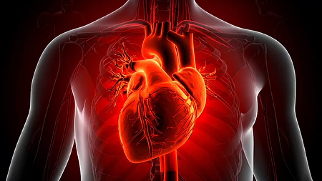 World Heart Day: 30-40 ರ ಹರೆಯದ ಯುವಜನರಲ್ಲಿ ಹೃದಯ ಕಾಯಿಲೆ ತೀವ್ರ ಹೆಚ್ಚಳ; ವೈದ್ಯರು ಏನಂತಾರೆ?