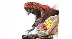 ಜಾರ್ಖಂಡ್‌: ಮಾವೋವಾದಿ ವಿರೋಧಿ ಕಾರ್ಯಾಚರಣೆ ವೇಳೆ ವಿಷಪೂರಿತ ಹಾವು ಕಡಿದು ಸಿಆರ್‌ಪಿಎಫ್ ಯೋಧ ಸಾವು!