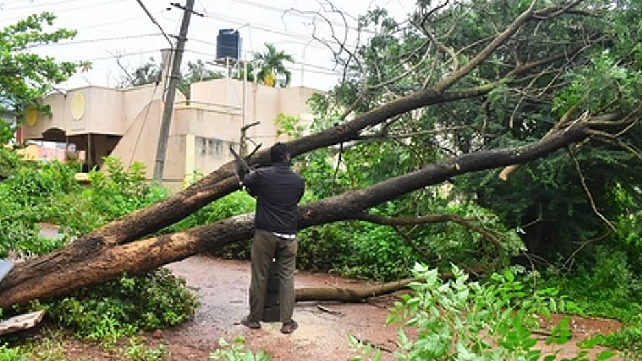 Greater Bengaluru Authority: ಅಪಾಯಕಾರಿ ಮರಗಳ ತೆರವು ಕಾರ್ಯಕ್ಕೆ ಸಿಬ್ಬಂದಿಗಳ ಕೊರತೆ..!
