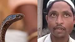 Uttar Pradesh: ರಾತ್ರಿ ಹೊತ್ತಲ್ಲಿ 'ಹಾವಾಗಿ' ಕಚ್ಚಲು ಓಡಾಡಿಸುವ ಪತ್ನಿ; ಅಧಿಕಾರಿಗಳ ದುಂಬಾಲು ಬಿದ್ದ ಪತಿ!