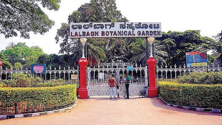 ಡಿಕೆಶಿ 'ಸುರಂಗದ' ಹುಚ್ಚಿನಿಂದ ಲಾಲ್‌ಬಾಗ್ ಸಸ್ಯೋದ್ಯಾನಕ್ಕೆ ಅಪಾಯ: ಆರ್. ಅಶೋಕ್