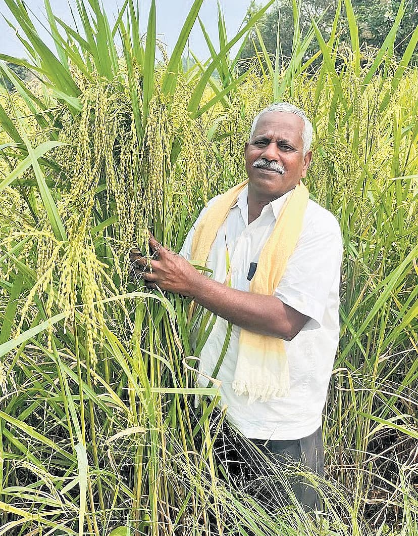 ಶಂಕರ್ ಹನುಮಂತ ಲಂಗಟಿ