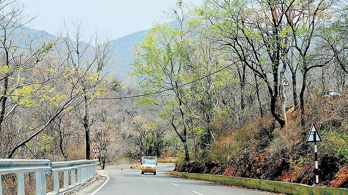 ಮಲೆ ಮಹದೇಶ್ವರ ಬೆಟ್ಟಕ್ಕೆ ಹುಲಿ ಮೀಸಲು ಟ್ಯಾಗ್: ಅರಣ್ಯ ಇಲಾಖೆಯಿಂದ ಸಾರ್ವಜನಿಕ ಸಮಾಲೋಚನಾ ಸಭೆ
