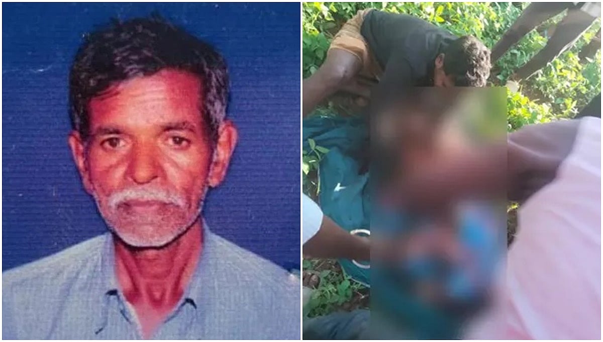 ಮೈಸೂರಿನಲ್ಲಿ ಮುಂದುವರೆದ ಹುಲಿ ದಾಳಿ; ಸರಗೂರಿನಲ್ಲಿ ದನಗಾಹಿ ಸಾವು