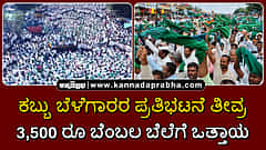 Watch | ಬೆಳಗಾವಿ ಕಬ್ಬು ಬೆಳೆಗಾರರ ಪ್ರತಿಭಟನೆ ತೀವ್ರ: 3,500 ರೂ ಬೆಂಬಲ ಬೆಲೆಗೆ ಒತ್ತಾಯ; ಬಿಜೆಪಿ ಬೆಂಬಲ