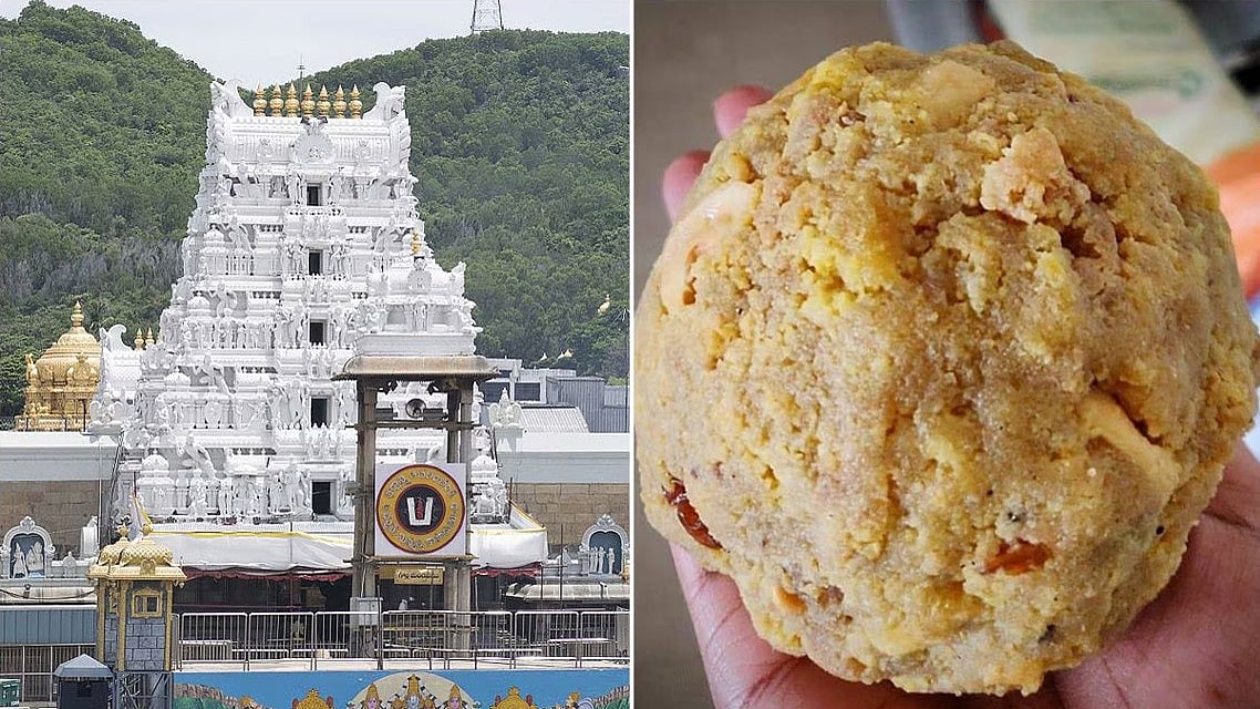 Tirumala: 'ನಂದಿನಿ ಬೇಡ' ಎಂದಿದ್ದ TTD ಗೆ ನಾಮ ಹಾಕಿದ್ದ ಖಾಸಗಿ ಡೈರಿ; ಹಾಲನ್ನೇ ಬಳಸದೇ ತುಪ್ಪ ತಯಾರಿಕೆ; ಭಕ್ತರಿಗೆ ಕಲಬೆರಕೆ ಲಡ್ಡು ಪ್ರಸಾದ!