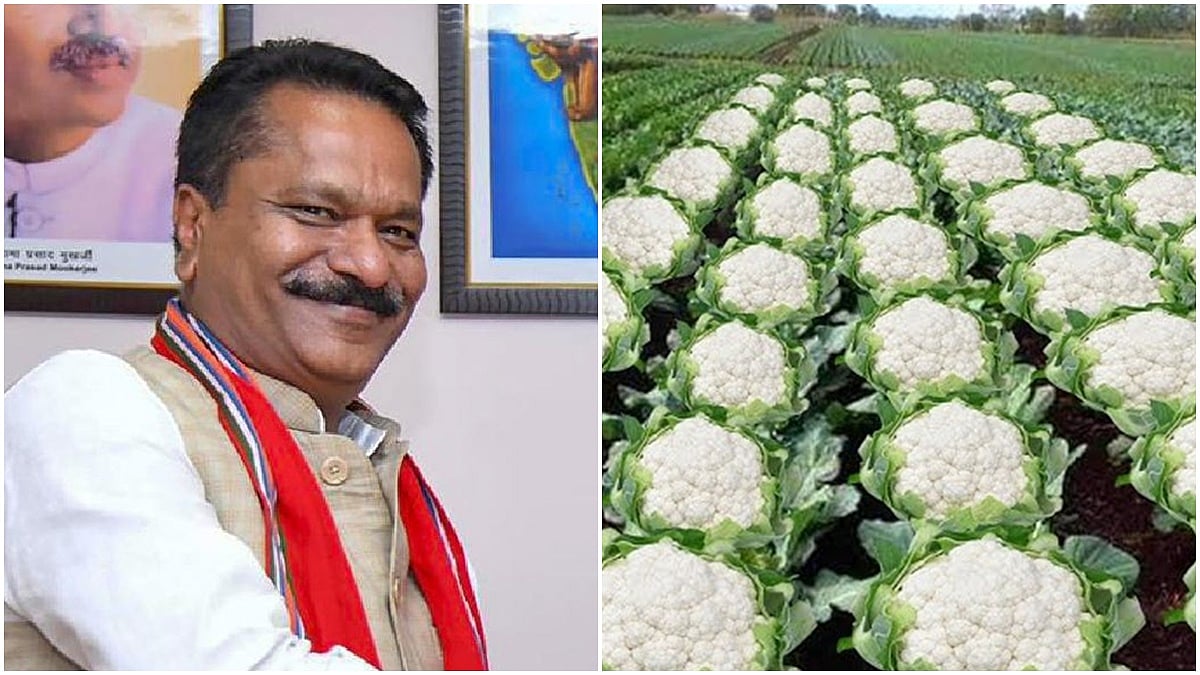 ಹೂಕೋಸು ಫೋಟೋ ಹಾಕಿ ಬಿಹಾರದ NDA ಗೆಲುವು ಸಂಭ್ರಮಿಸಿದ್ದೇಕೆ ಅಸ್ಸಾಂ ಬಿಜೆಪಿ ಸಚಿವ?: ಇದು ಅಶ್ಲೀಲ, ನಾಚಿಕೆಗೇಡಿನ ಪೋಸ್ಟ್- ಕಾಂಗ್ರೆಸ್ ಕೆಂಡ!