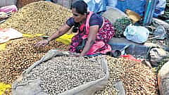ಇಂದಿನಿಂದ ಐತಿಹಾಸಿಕ ಕಡಲೆಕಾಯಿ ಪರಿಷೆ: 5 ದಿನಗಳ ಹಬ್ಬಕ್ಕೆ ಸಿಎಂ ಸಿದ್ದರಾಮಯ್ಯ ಚಾಲನೆ