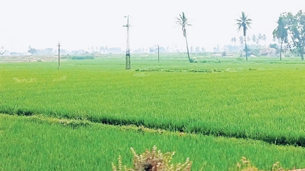 ನೀರಿನ ಕೊರತೆ, ರೋಗ ಭೀತಿ: ಉತ್ತರ ಕರ್ನಾಟಕದ ನಾಲ್ಕು ಜಿಲ್ಲೆಗಳ ಕೃಷಿ ಕಾರ್ಮಿಕರ ವಲಸೆ