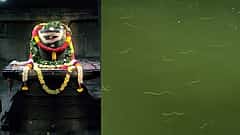 ಕಾರ್ತಿಕ ಮಾಸದ ಅಚ್ಚರಿ: ರಾಮಲಿಂಗೇಶ್ವರ ದೇಗುಲ ನದಿಯಲ್ಲಿ ನೂರಾರು ಹಾವುಗಳ ಪ್ರತ್ಯಕ್ಷ! ಶಿವನ ದರ್ಶನಕ್ಕೆ ಬಂದ ನಾಗಲೋಕ? Video