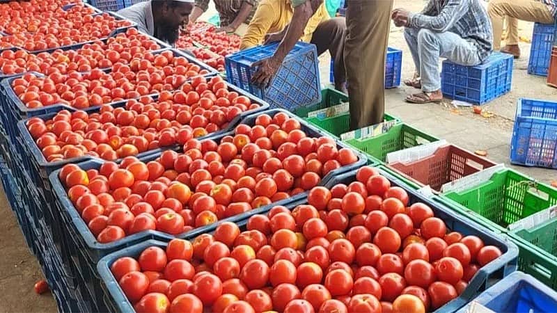 ಟೊಮೆಟೋ ಬೆಲೆ ಏಕಾಏಕಿ ಭಾರೀ ಹೆಚ್ಚಳ: ಗ್ರಾಹಕರು ಕಂಗಾಲು; ಕೇಂದ್ರ ಸರ್ಕಾರ ಮಧ್ಯಪ್ರವೇಶ..!