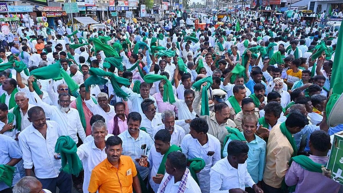 'ಕುರ್ಚಿಗಾಗಿ ಹೊಡೆದಾಡೋದು ಬಿಡಿ, ನಮ್ಮ ಸಮಸ್ಯೆ ಕಡೆ ಗಮನ ಕೊಡಿ': ಮೆಕ್ಕೆಜೋಳ ಬೆಳೆಗಾರರ ಬೇಡಿಕೆಯೇನು?
