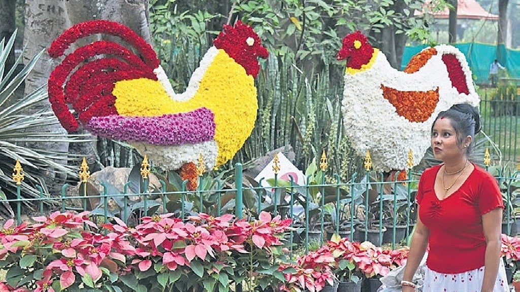 ಕಬ್ಬನ್‌ ಪಾರ್ಕ್‌ Flower show; ಎಷ್ಟು ದಿನ..? ಶುಲ್ಕವೆಷ್ಟು..?