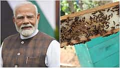Modi Mann Ki Baat: ದಕ್ಷಿಣ ಕನ್ನಡ ಜಿಲ್ಲೆಯ ಪುತ್ತೂರು ಹಾಗೂ ತುಮಕೂರಿನ ಜೇನುತುಪ್ಪ ಸ್ವಾದ ಅದ್ಭುತ, ರೈತರಿಗೆ ಆದಾಯ ಮೂಲ
