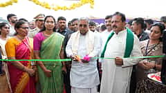 ಮಂಡ್ಯ: ಕೃಷಿ ವಿವಿಯಲ್ಲಿ 'ಅಂತಾರಾಷ್ಟ್ರೀಯ ಸ್ಯಾಂಡ್ವಿಚ್ ಸ್ನಾತಕೋತರ ಪದವಿ' ಆರಂಭಕ್ಕೆ ಯತ್ನ- ಸಿದ್ದರಾಮಯ್ಯ