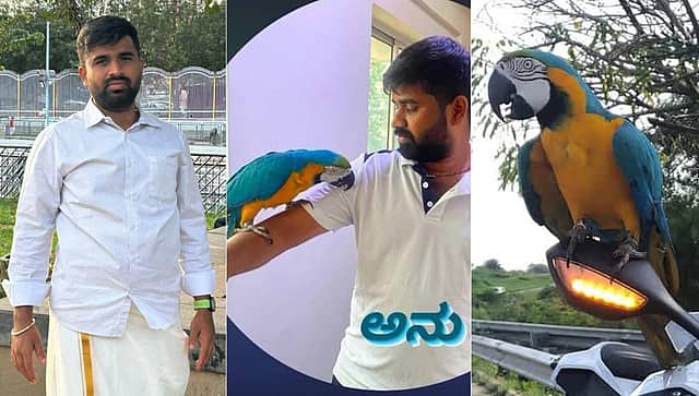 ಬೆಂಗಳೂರು: 'ಮುದ್ದು ಗಿಣಿ' ರಕ್ಷಿಸಲು ಹೋದವನಿಗೆ ಕಾದಿತ್ತು ಅಪತ್ತು! ಅಷ್ಟಕ್ಕೂ ಏನಾಯ್ತು..?