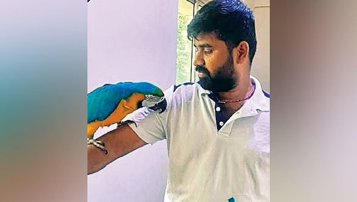 ಬೆಂಗಳೂರು: ಮುದ್ದಾದ ಗಿಳಿ ರಕ್ಷಿಸಲು ಹೋಗಿ ಪ್ರಾಣ ತೆತ್ತ ಯುವಕ!