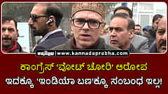 Watch | ಕಾಂಗ್ರೆಸ್ 'ವೋಟ್ ಚೋರಿ' ಆರೋಪ: ಇದಕ್ಕೂ 'ಇಂಡಿಯಾ ಬಣ'ಕ್ಕೂ ಸಂಬಂಧ ಇಲ್ಲ!