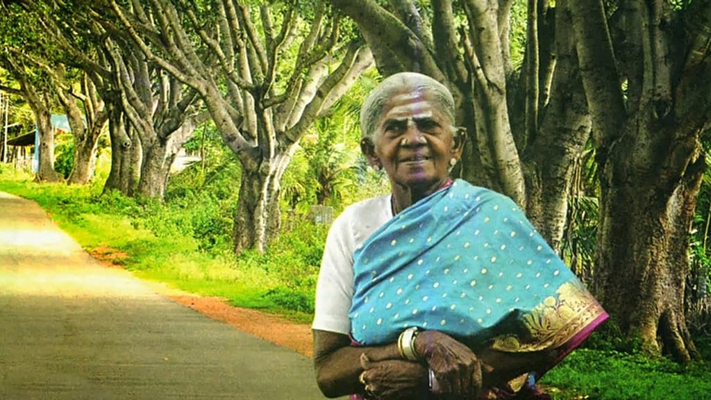 ಸಾಲುಮರದ ತಿಮ್ಮಕ್ಕ