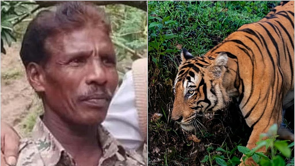 ಹುಲಿ ದಾಳಿಯಿಂದ ಸಾವು: ವಾಚರ್ ಸಣ್ಣ ಹೈದ ಕುಟುಂಬಕ್ಕೆ ವಿಮೆ ಸೇರಿ ಒಟ್ಟಾರೆ 45 ಲಕ್ಷ ರೂ ಪರಿಹಾರ!
