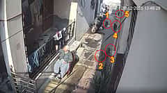 ಮನೆಯ ಎದುರು ಕುಳಿತಿದ್ದ ವೃದ್ಧೆ ಮೇಲೆ ಕೋತಿಗಳ ದಾಳಿ; CCTV Video Viral