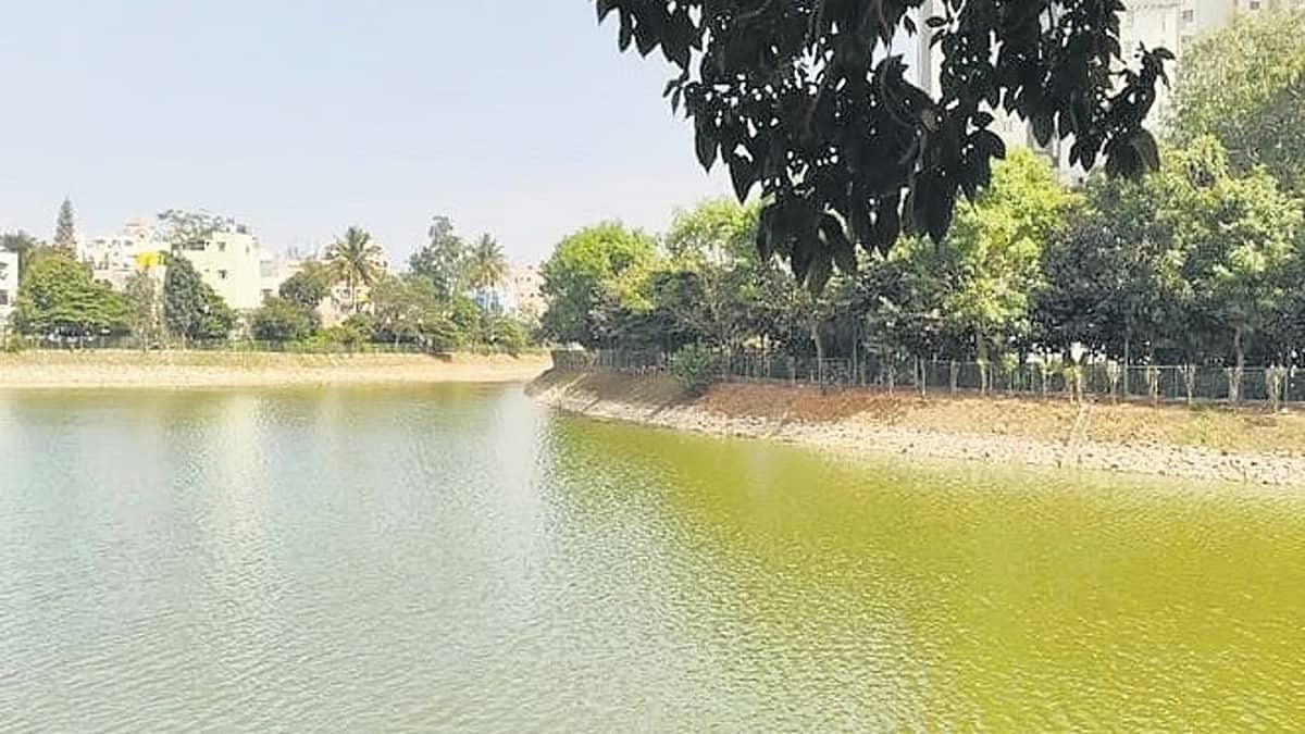 ಹಣಕಾಸು ಸಚಿವೆ ನಿರ್ಮಲಾ ಸೀತಾರಾಮನ್ ಪ್ರಯತ್ನ: ಬೆಂಗಳೂರಿನ ಕಾಳೇನ ಅಗ್ರಹಾರ ಕೆರೆ ಮತ್ತೆ ಜೀವಂತ!
