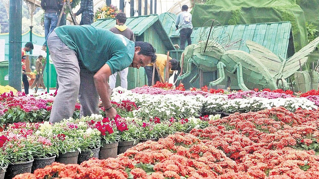 ಗಣರಾಜ್ಯೋತ್ಸವ 2026: ಜನವರಿ 14ರಿಂದ ಲಾಲ್ಬಾಗ್ಫ್ಲವರ್ ಶೋ; ವಿದ್ಯಾರ್ಥಿಗಳಿಗೆ ಪ್ರವೇಶ ಉಚಿತ, ಈ ಬಾರಿ ಥೀಮ್ ಏನು ಗೊತ್ತಾ?