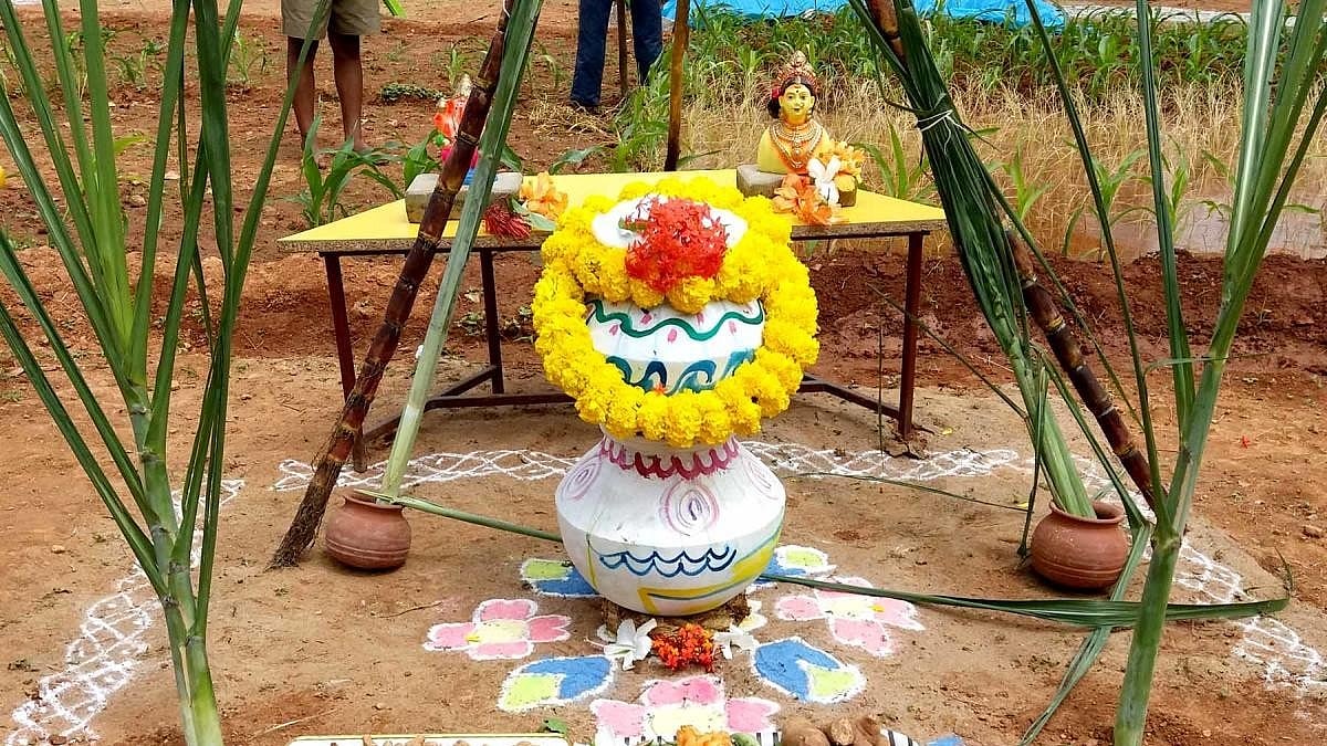 ಎಲ್ಲೆಡೆ ಮಕರ ಸಂಕ್ರಾಂತಿ ಸಂಭ್ರಮ: ದೇವಾಲಯಗಳಲ್ಲಿ ವಿಶೇಷ ಪೂಜೆ, ಜನತೆಗೆ ಕನ್ನಡದಲ್ಲೇ ಶುಭಾಶಯ ಕೋರಿದ ಪ್ರಧಾನಿ ಮೋದಿ